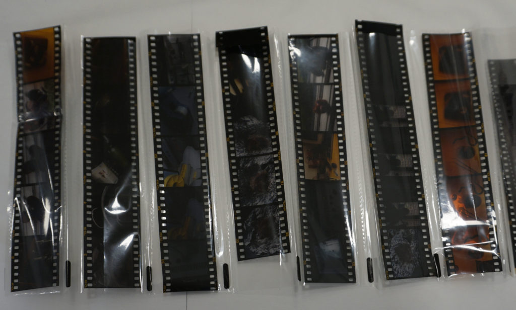 Polyester Negative
